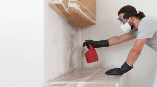Professional Mold Remediation technician working in Scotts, MI
